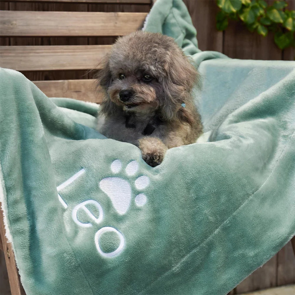 PawScript Blanket image 2