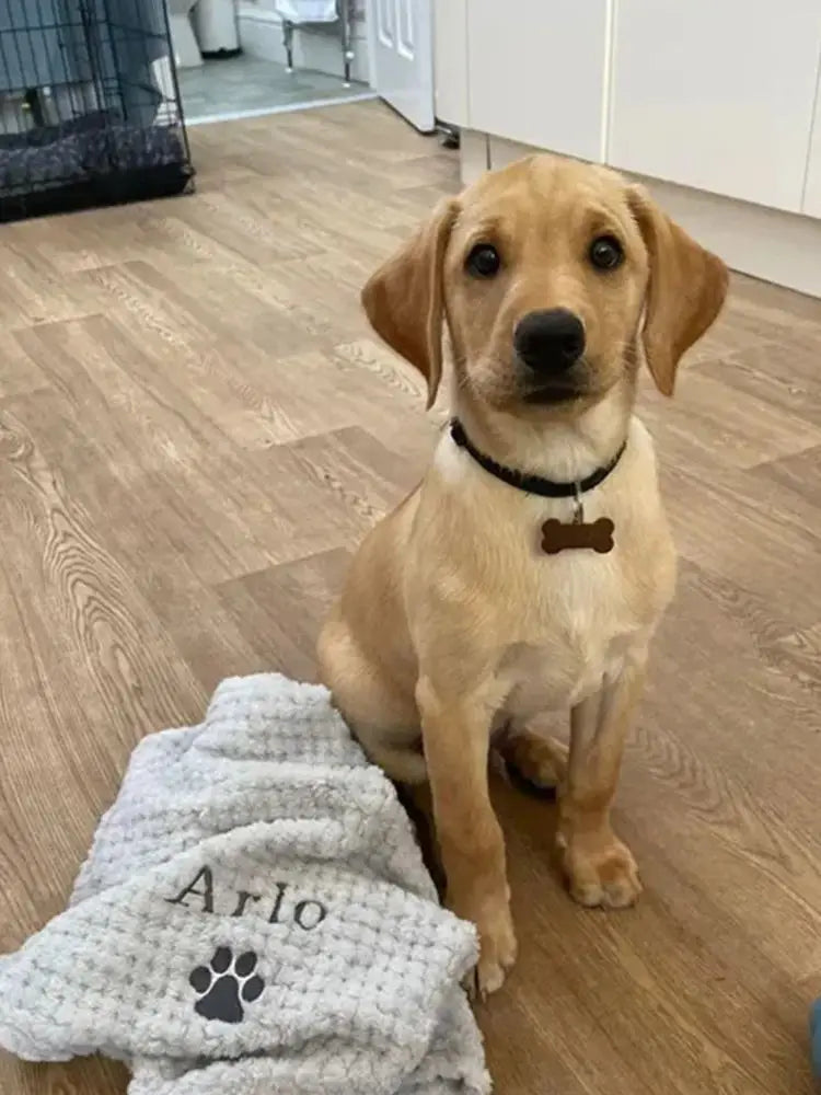 PawPrint Luxe Blanket image 6