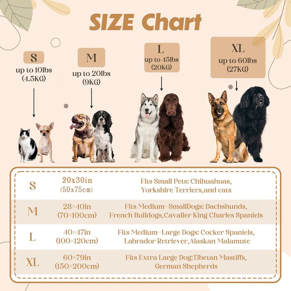 PawScript Blanket image 4